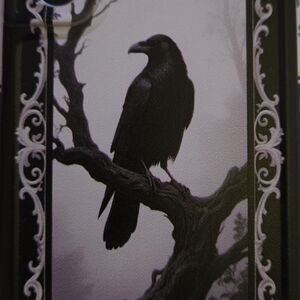 Black Crow Phone Case Samsung S21